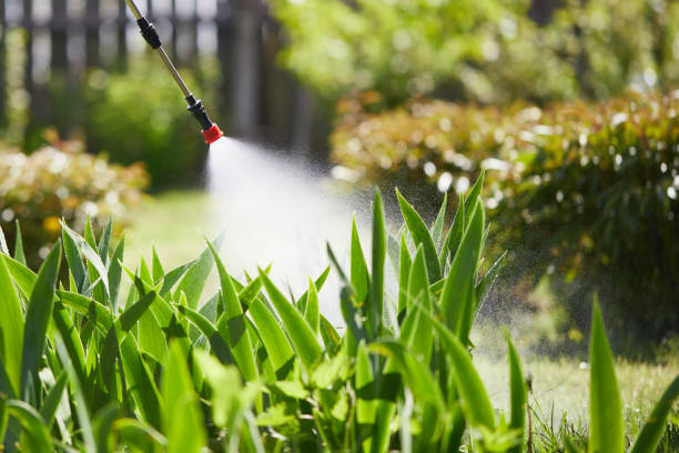 24/7 Emergency Mosquito Control experts in Beaver Falls, PA